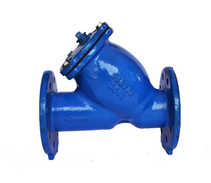 Y Strainer
